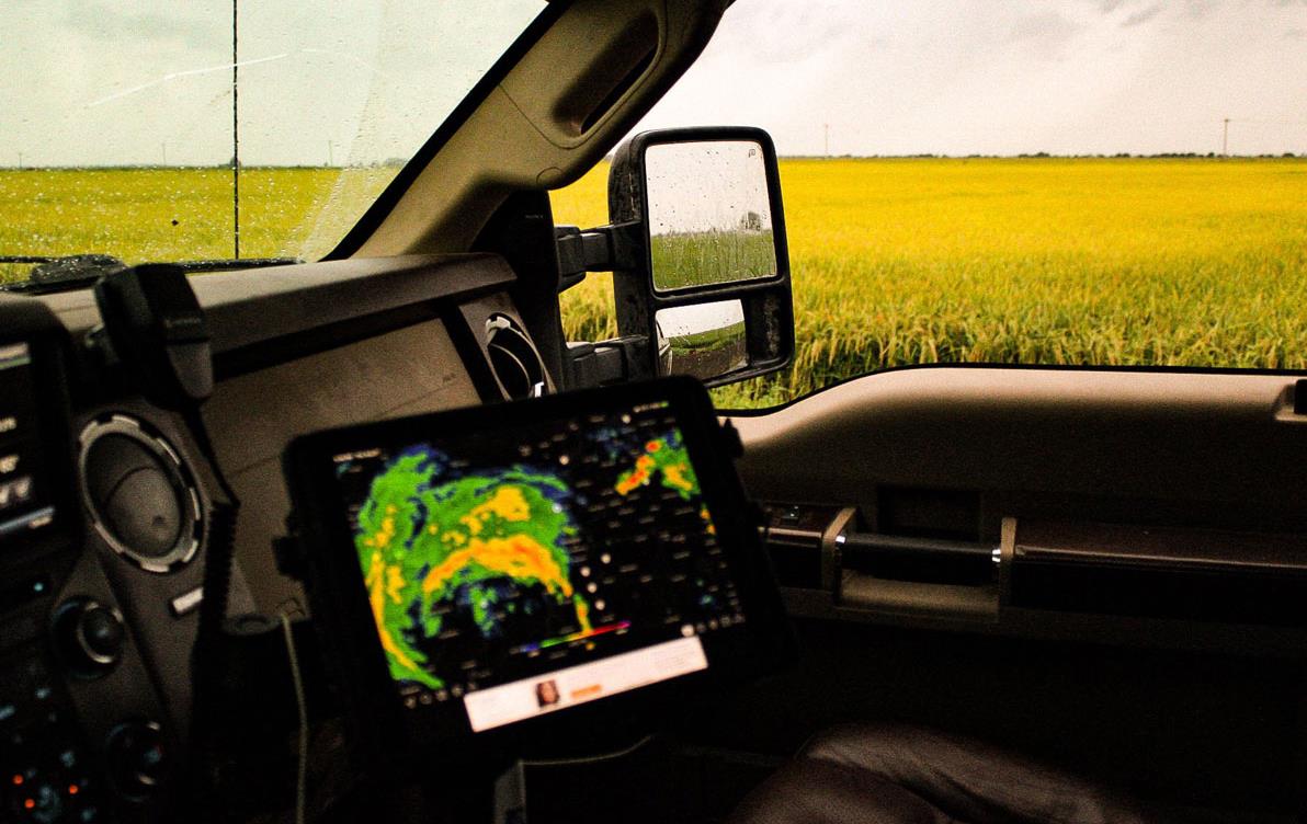 Storm tracker in truck cab parked next to mature AR rice field