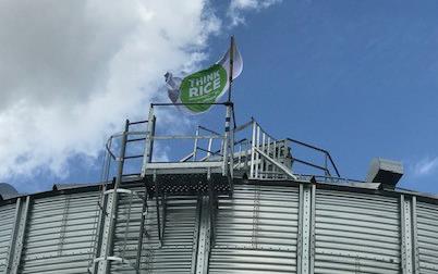 White flag with round green logo with text "Think Rice," flying over grain bin