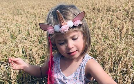 Young girl with unicorn headband stands in ripened, yellow rice field