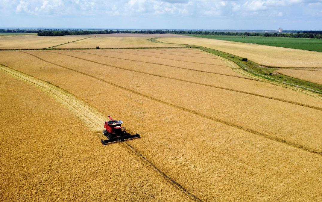 Wide-angle,-aerial-view-of-harvest, golden fields, blue skies, & red combine, Baker-Morgan-photo