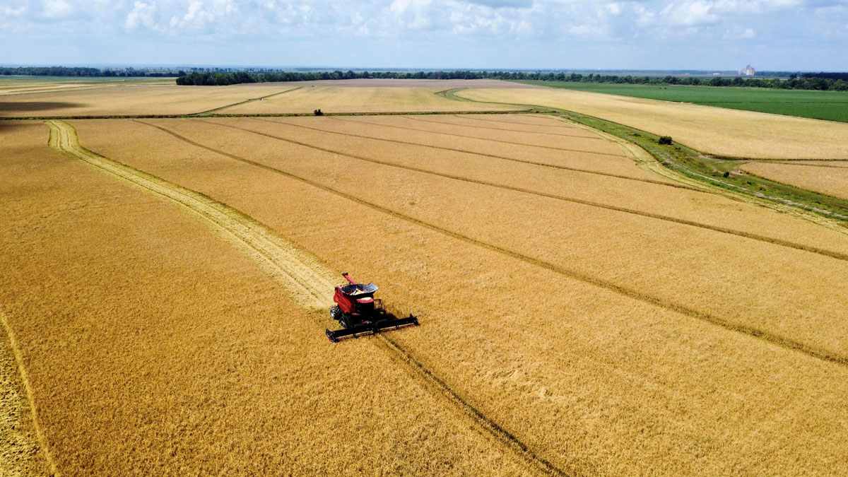 Rice Production Program Application Deadline Approaching | USA Rice ...