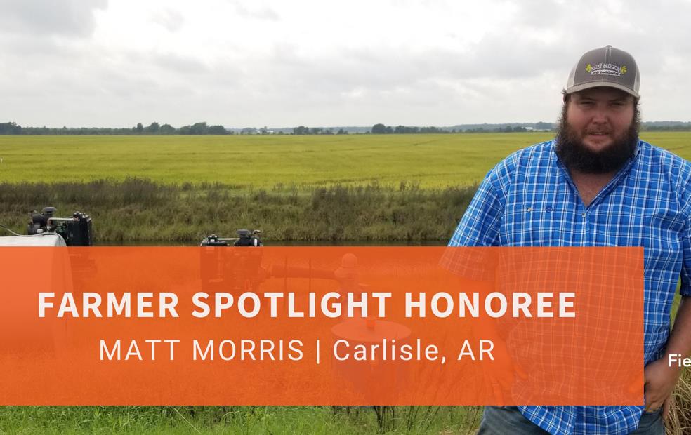 Farmer Spotlight Honoree Matt Morris, standing in a green rice field, wearing blue plaid shirt and ballcap
