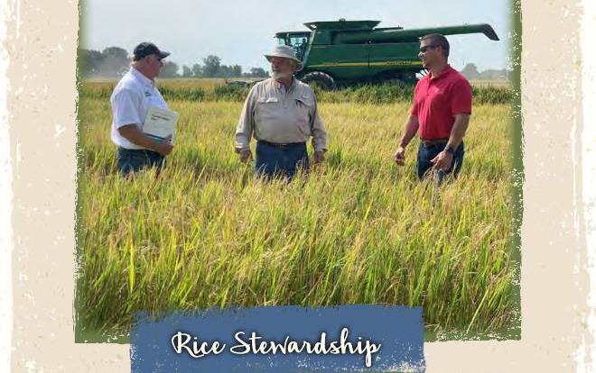 Annual Rpt shows three men standing in golden rice field in front of combine