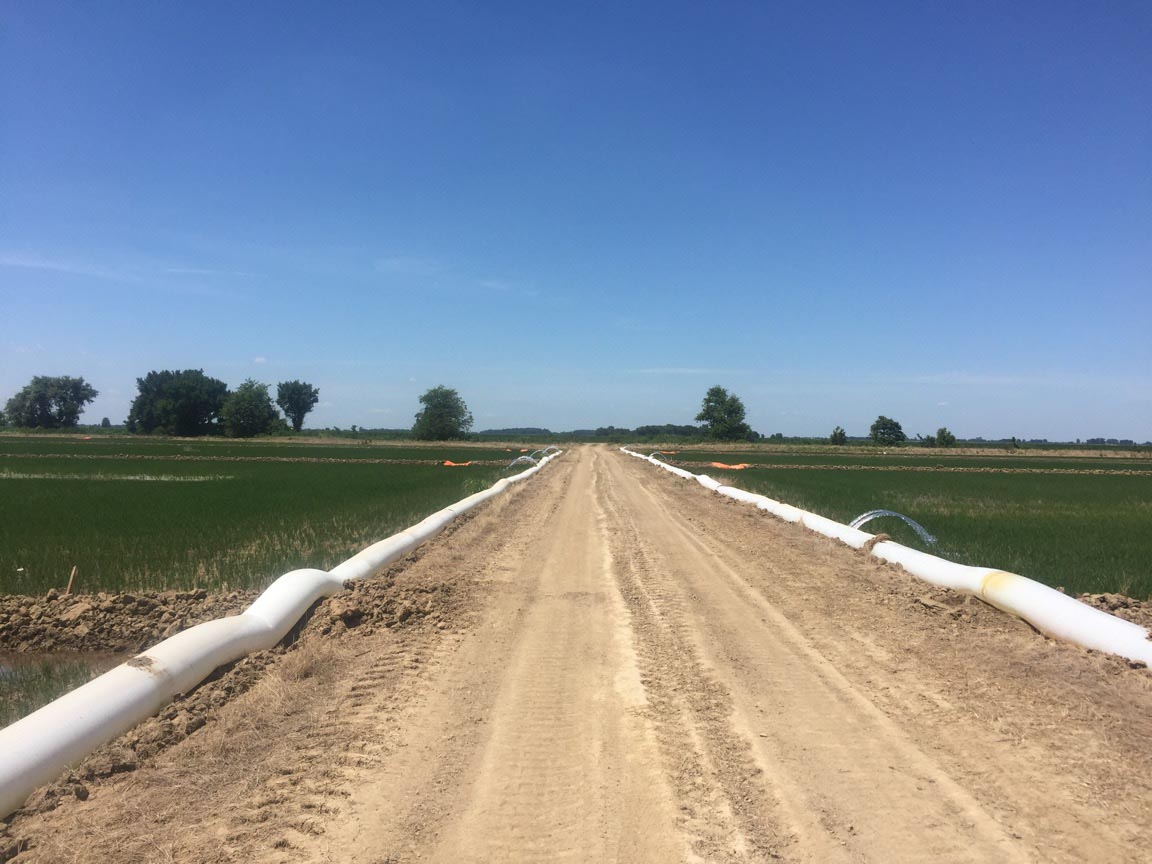 Watering pipes flank a dirt road on Nat McKnight